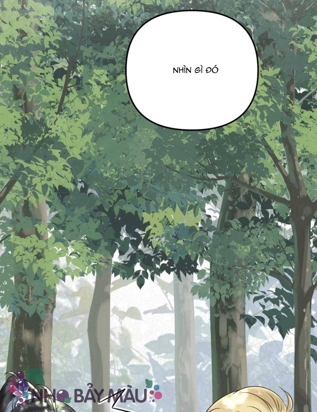 Bị Biến Thành Bia Đỡ Đạn , Ta Buộc Phải Mở Hậu Cung - Chap 50