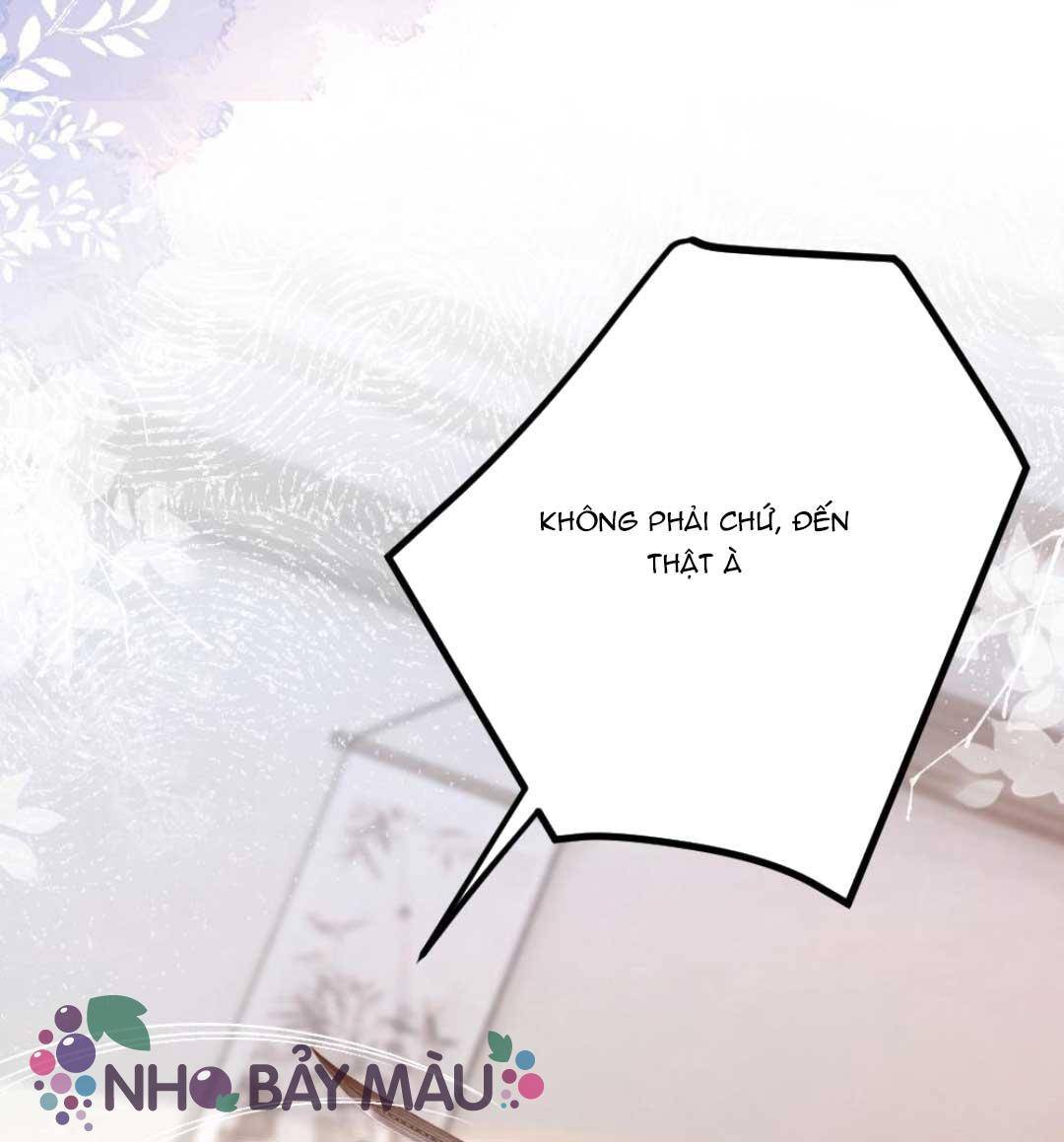 Bị Biến Thành Bia Đỡ Đạn , Ta Buộc Phải Mở Hậu Cung - Chap 56