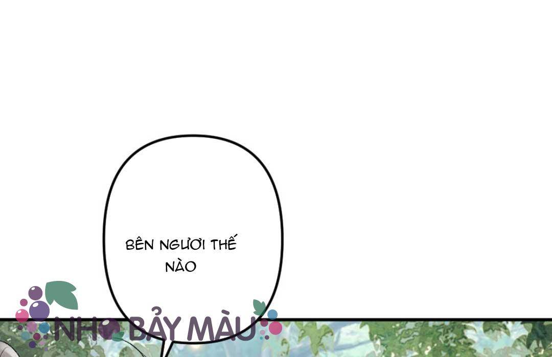 Bị Biến Thành Bia Đỡ Đạn , Ta Buộc Phải Mở Hậu Cung - Chap 74