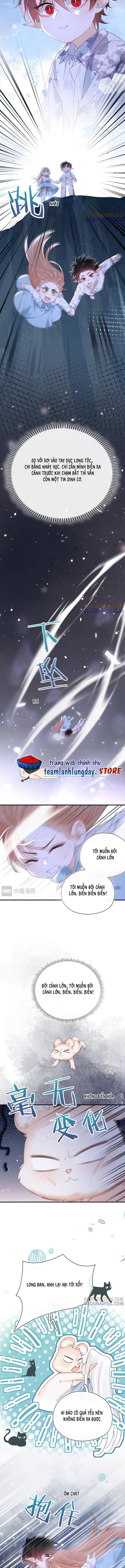 Cạm Bẫy Của Hắn - Chap 29