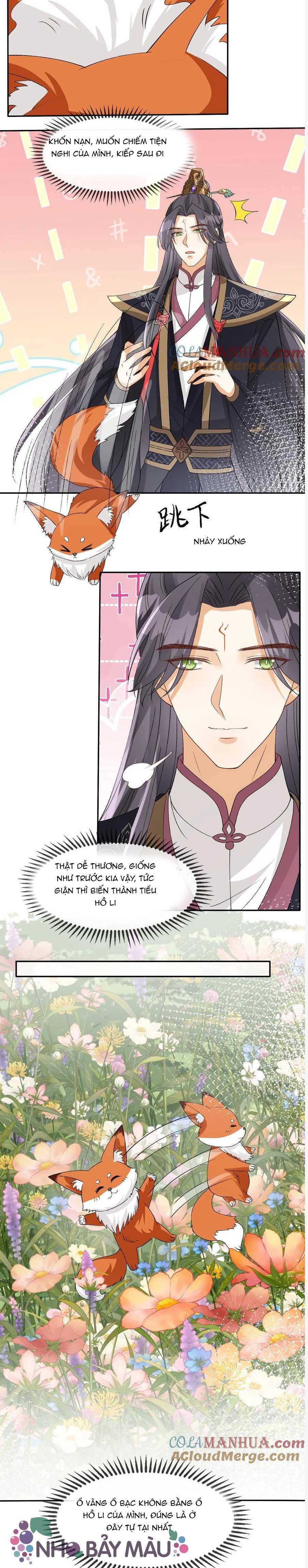 Cáo Nhỏ Hoang Tưởng Và Ký Chủ Lạnh Lùng - Chap 101