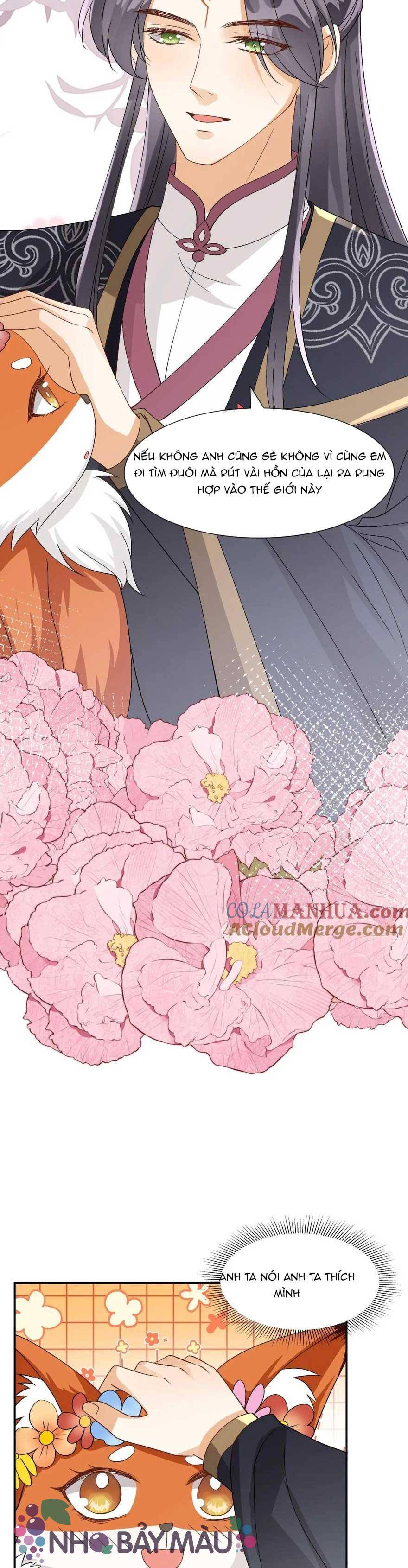 Cáo Nhỏ Hoang Tưởng Và Ký Chủ Lạnh Lùng - Chap 101