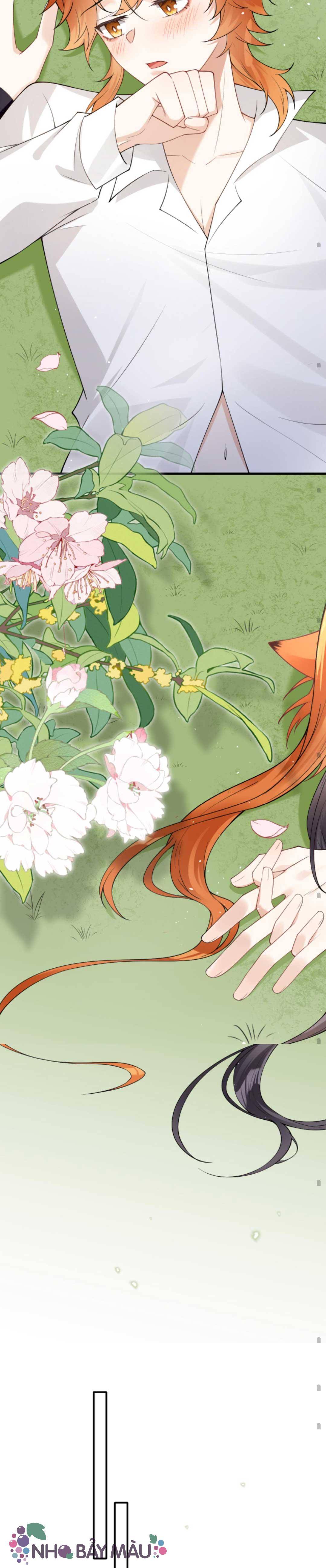 Cáo Nhỏ Hoang Tưởng Và Ký Chủ Lạnh Lùng - Chap 103