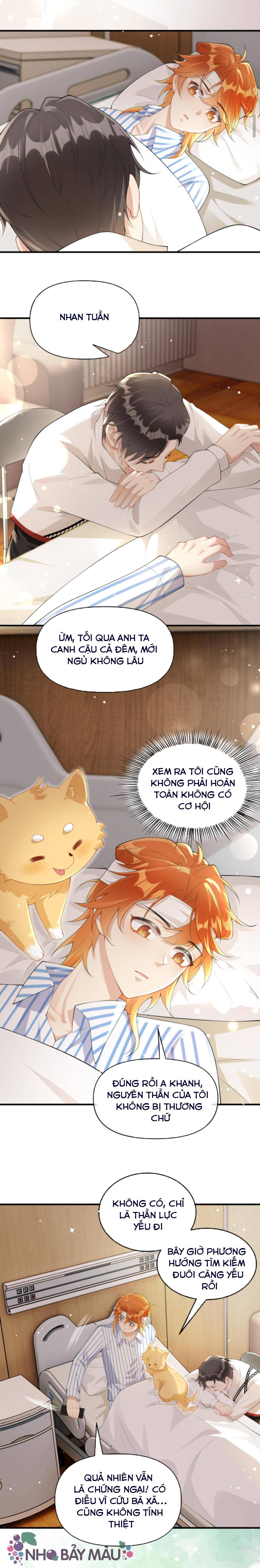 Cáo Nhỏ Hoang Tưởng Và Ký Chủ Lạnh Lùng - Chap 17