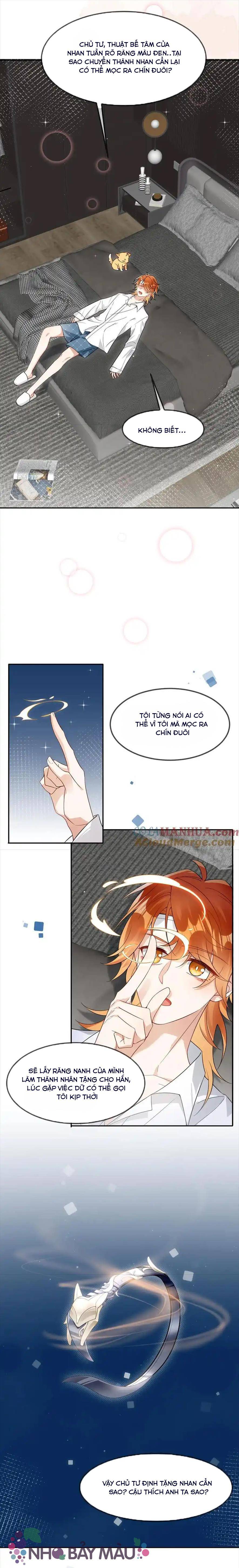 Cáo Nhỏ Hoang Tưởng Và Ký Chủ Lạnh Lùng - Chap 23