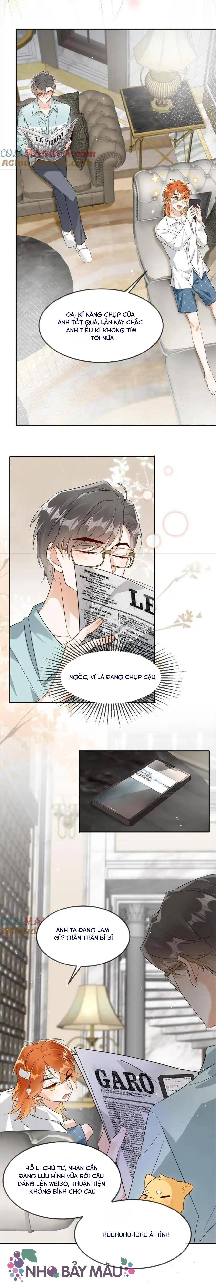 Cáo Nhỏ Hoang Tưởng Và Ký Chủ Lạnh Lùng - Chap 23