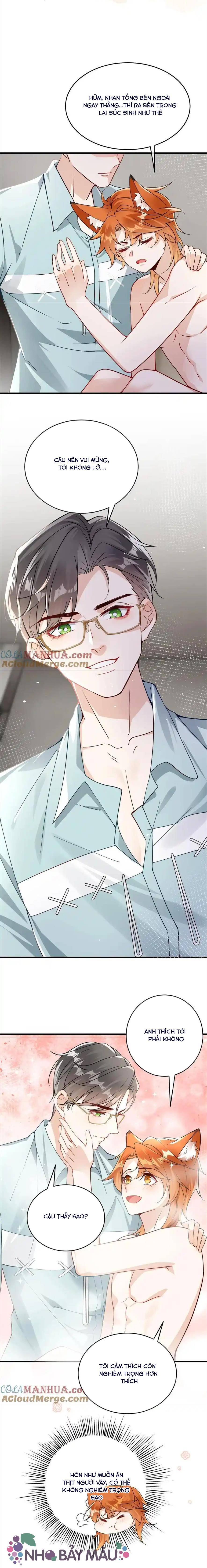 Cáo Nhỏ Hoang Tưởng Và Ký Chủ Lạnh Lùng - Chap 28