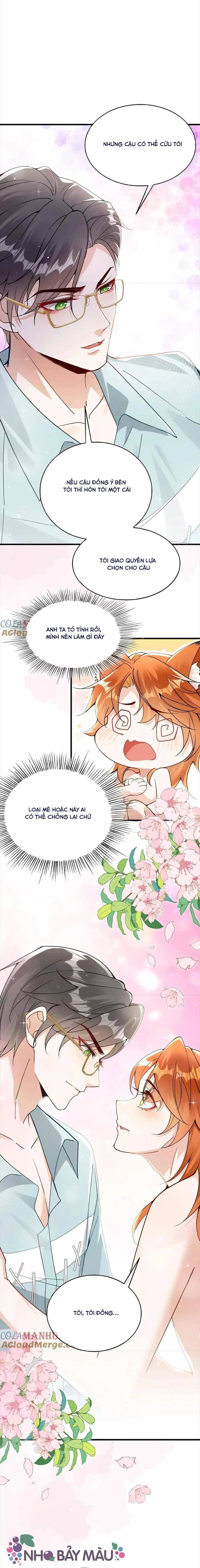 Cáo Nhỏ Hoang Tưởng Và Ký Chủ Lạnh Lùng - Chap 28