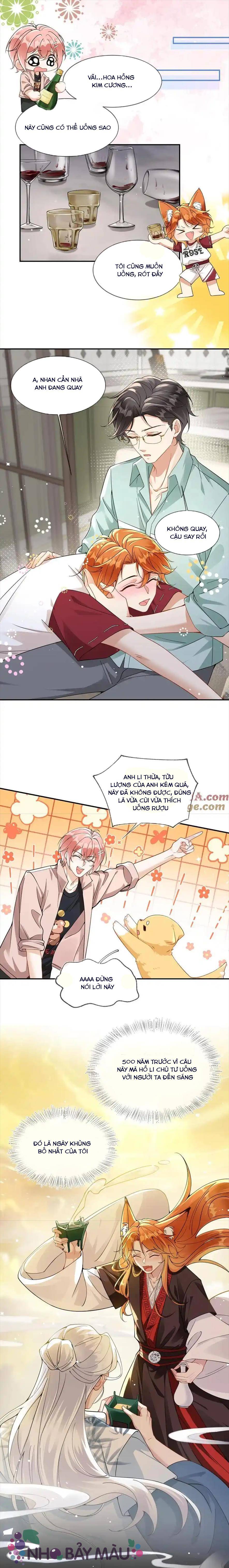 Cáo Nhỏ Hoang Tưởng Và Ký Chủ Lạnh Lùng - Chap 29