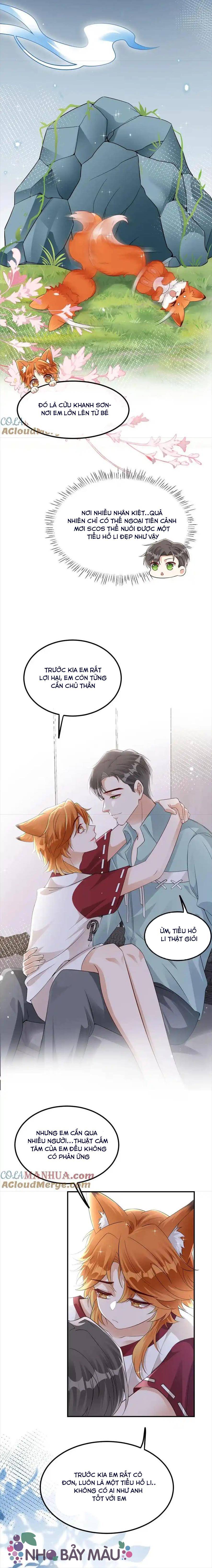 Cáo Nhỏ Hoang Tưởng Và Ký Chủ Lạnh Lùng - Chap 31