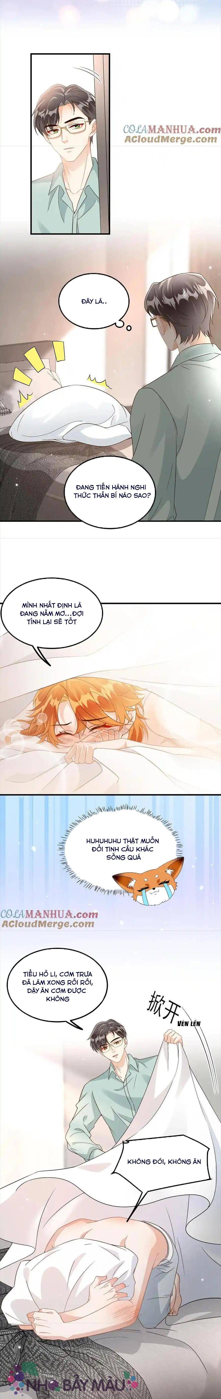 Cáo Nhỏ Hoang Tưởng Và Ký Chủ Lạnh Lùng - Chap 32