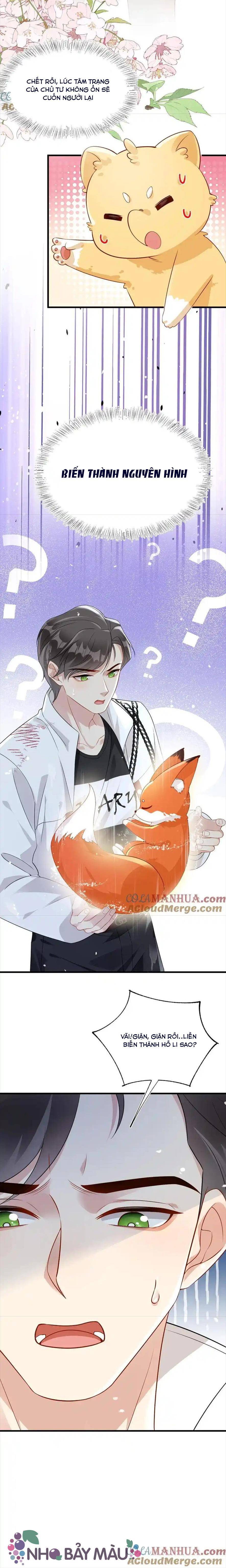 Cáo Nhỏ Hoang Tưởng Và Ký Chủ Lạnh Lùng - Chap 38