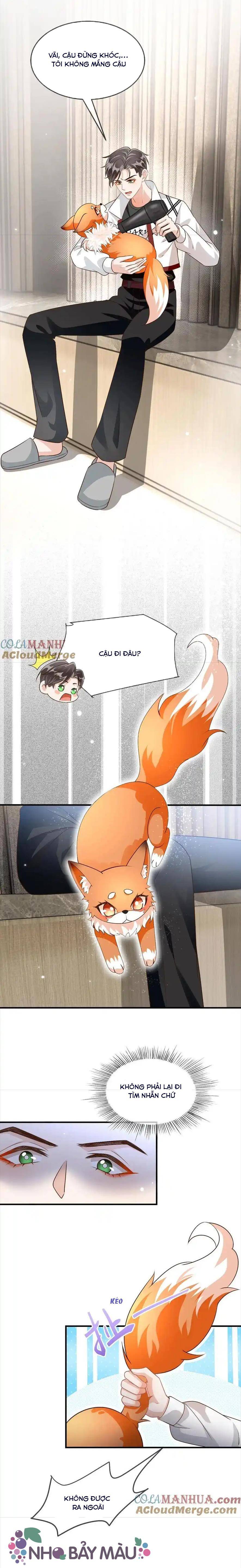 Cáo Nhỏ Hoang Tưởng Và Ký Chủ Lạnh Lùng - Chap 39