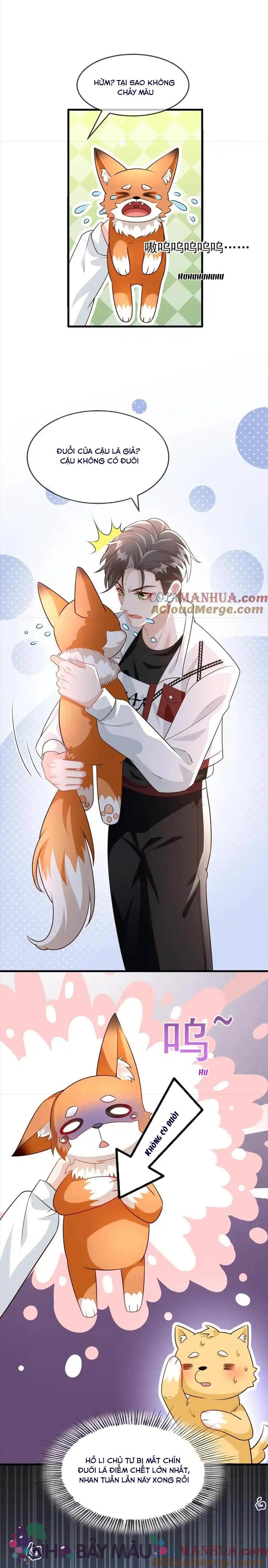 Cáo Nhỏ Hoang Tưởng Và Ký Chủ Lạnh Lùng - Chap 39