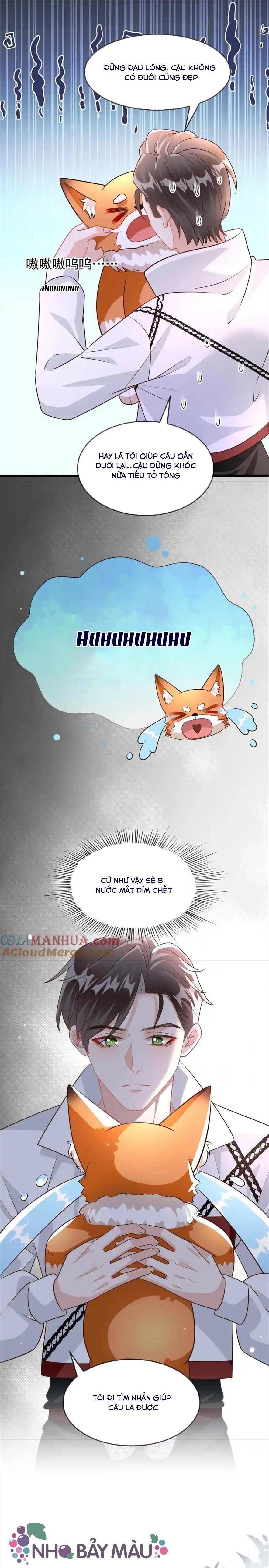 Cáo Nhỏ Hoang Tưởng Và Ký Chủ Lạnh Lùng - Chap 39