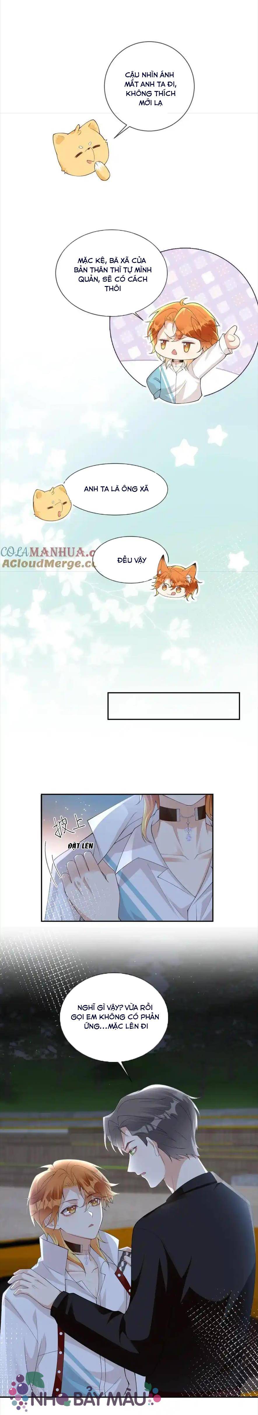 Cáo Nhỏ Hoang Tưởng Và Ký Chủ Lạnh Lùng - Chap 49