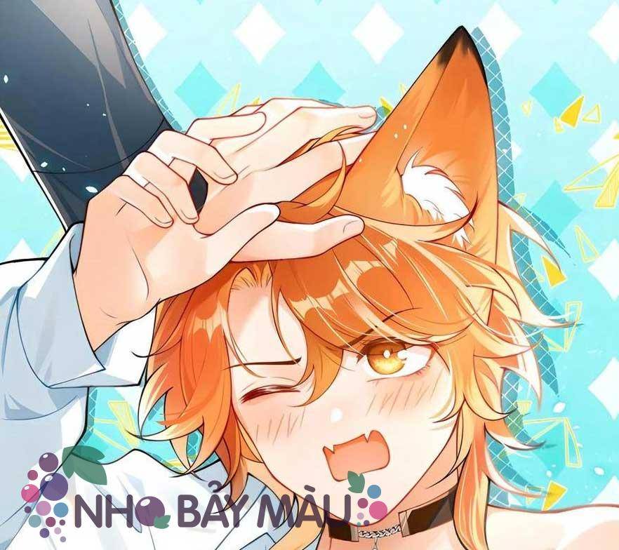 Cáo Nhỏ Hoang Tưởng Và Ký Chủ Lạnh Lùng - Chap 57