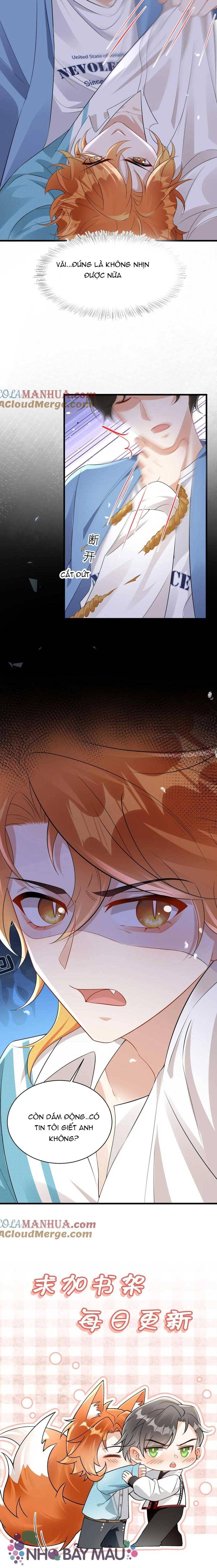 Cáo Nhỏ Hoang Tưởng Và Ký Chủ Lạnh Lùng - Chap 57