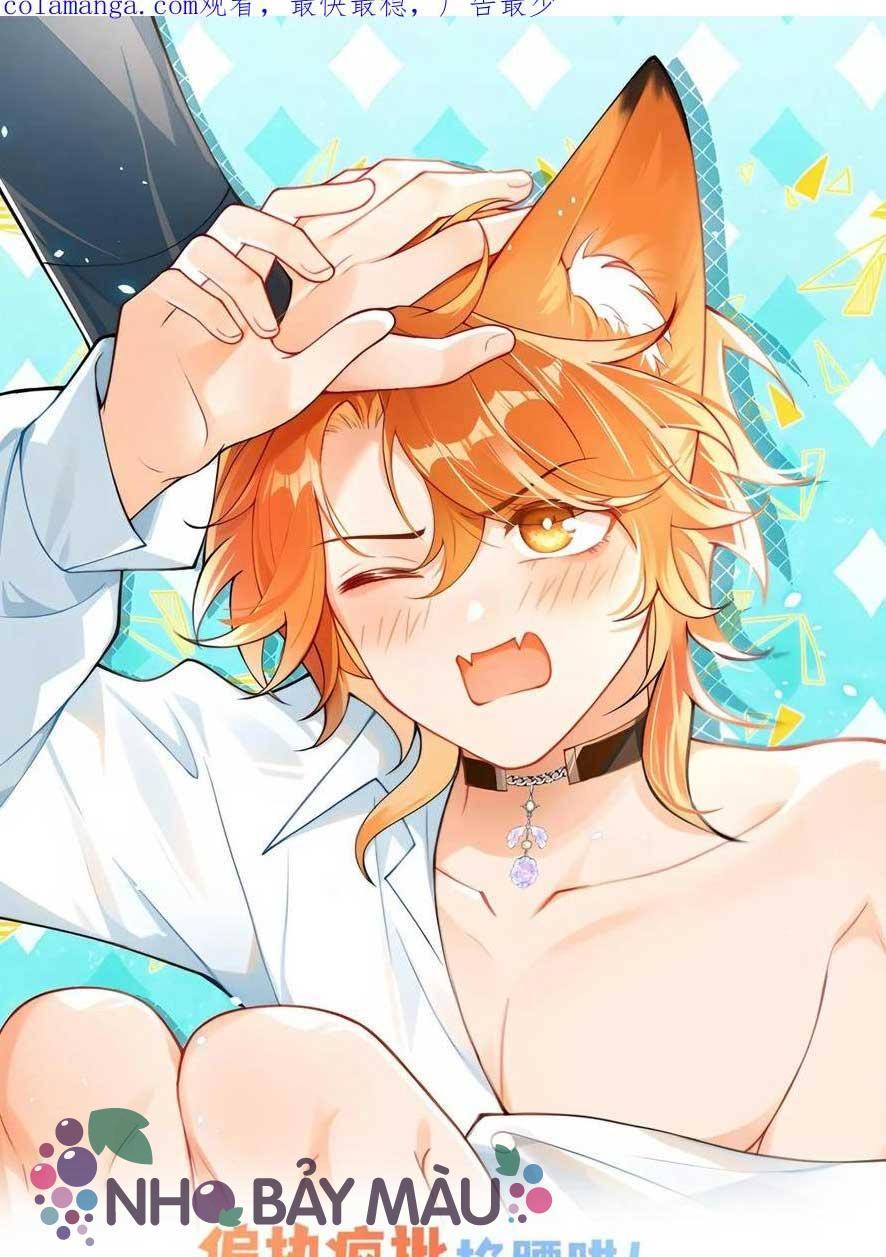 Cáo Nhỏ Hoang Tưởng Và Ký Chủ Lạnh Lùng - Chap 58