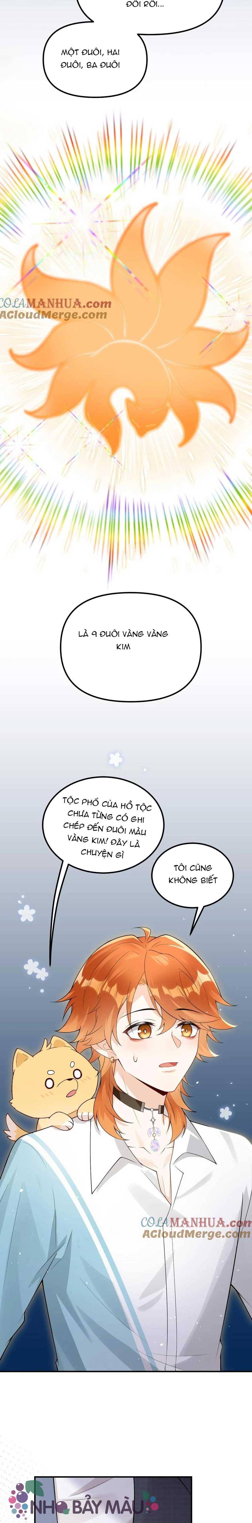 Cáo Nhỏ Hoang Tưởng Và Ký Chủ Lạnh Lùng - Chap 58