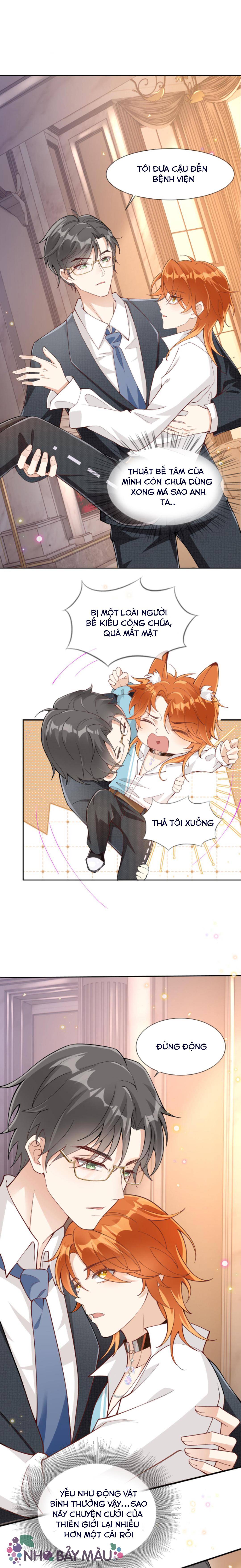 Cáo Nhỏ Hoang Tưởng Và Ký Chủ Lạnh Lùng - Chap 6