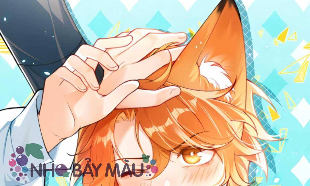 Cáo Nhỏ Hoang Tưởng Và Ký Chủ Lạnh Lùng - Chap 62