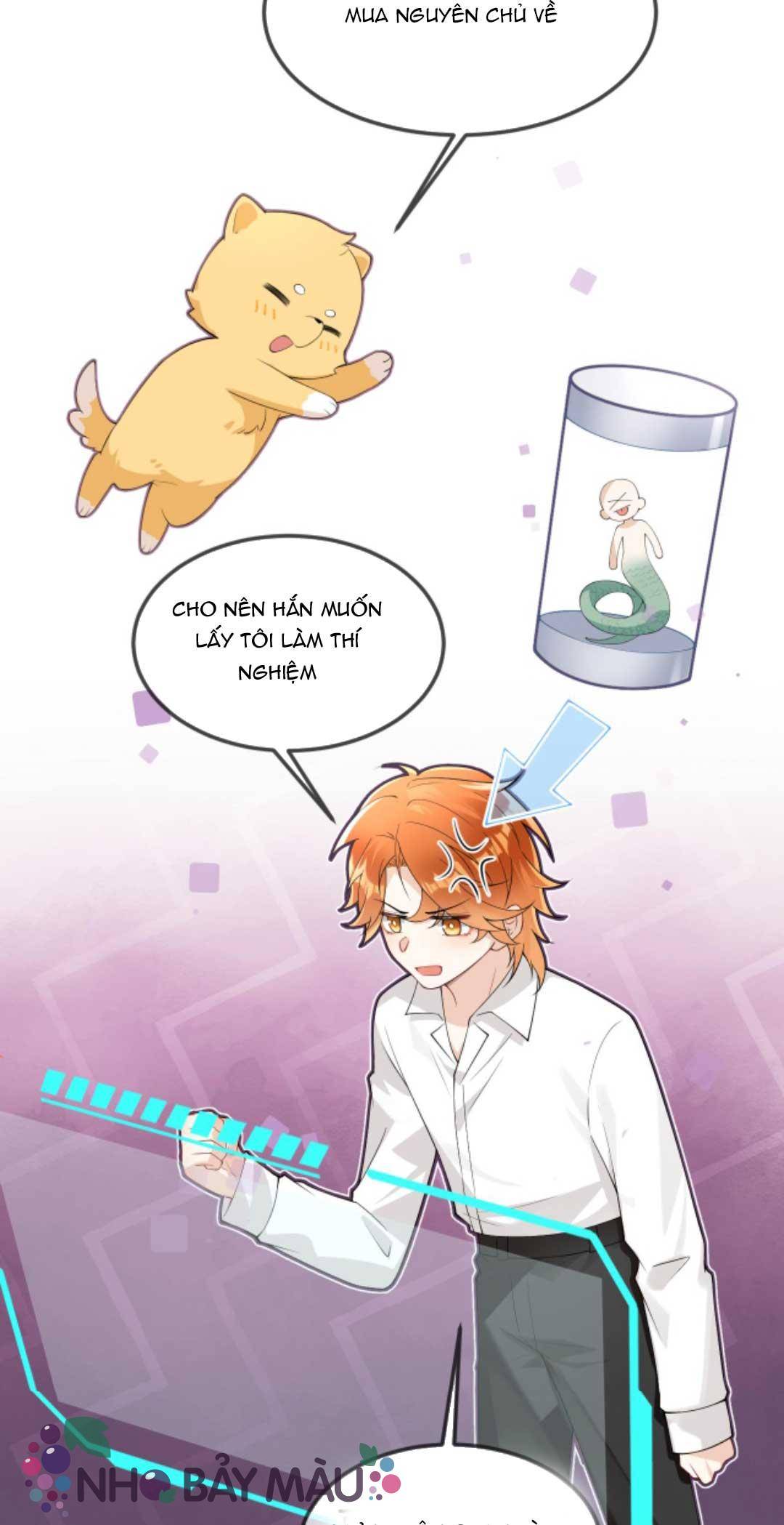 Cáo Nhỏ Hoang Tưởng Và Ký Chủ Lạnh Lùng - Chap 62