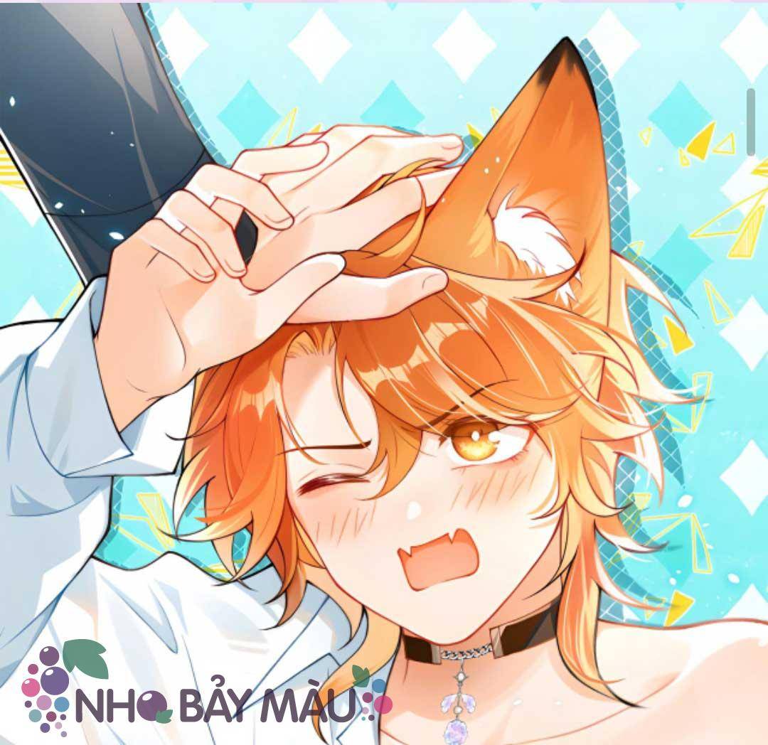 Cáo Nhỏ Hoang Tưởng Và Ký Chủ Lạnh Lùng - Chap 63