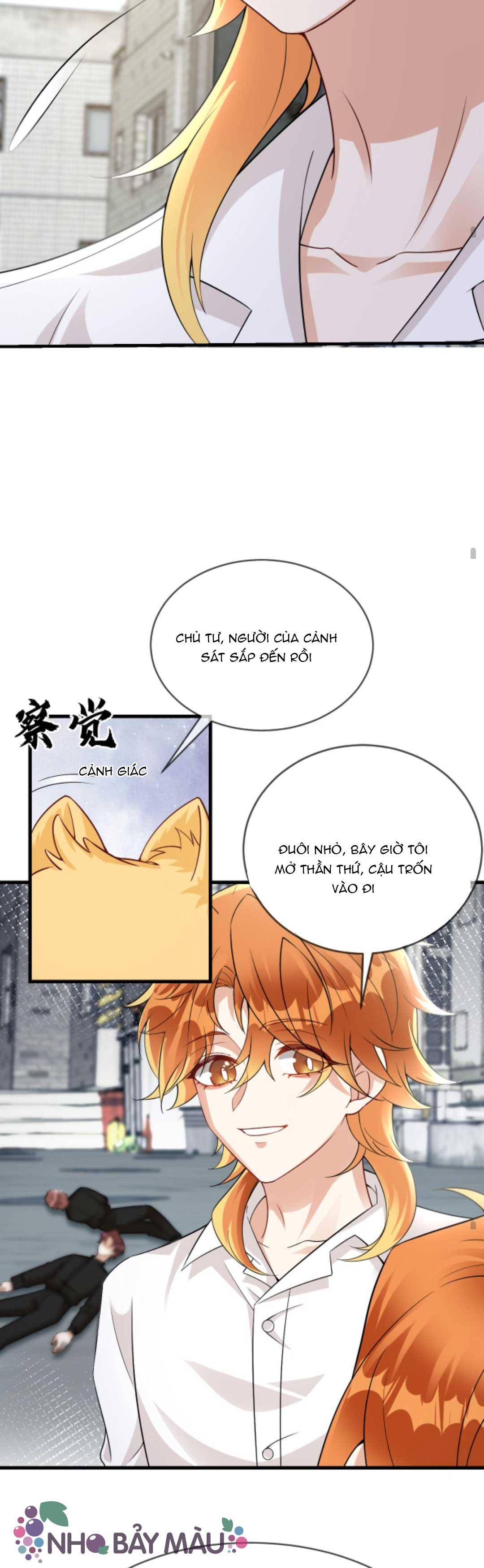 Cáo Nhỏ Hoang Tưởng Và Ký Chủ Lạnh Lùng - Chap 65
