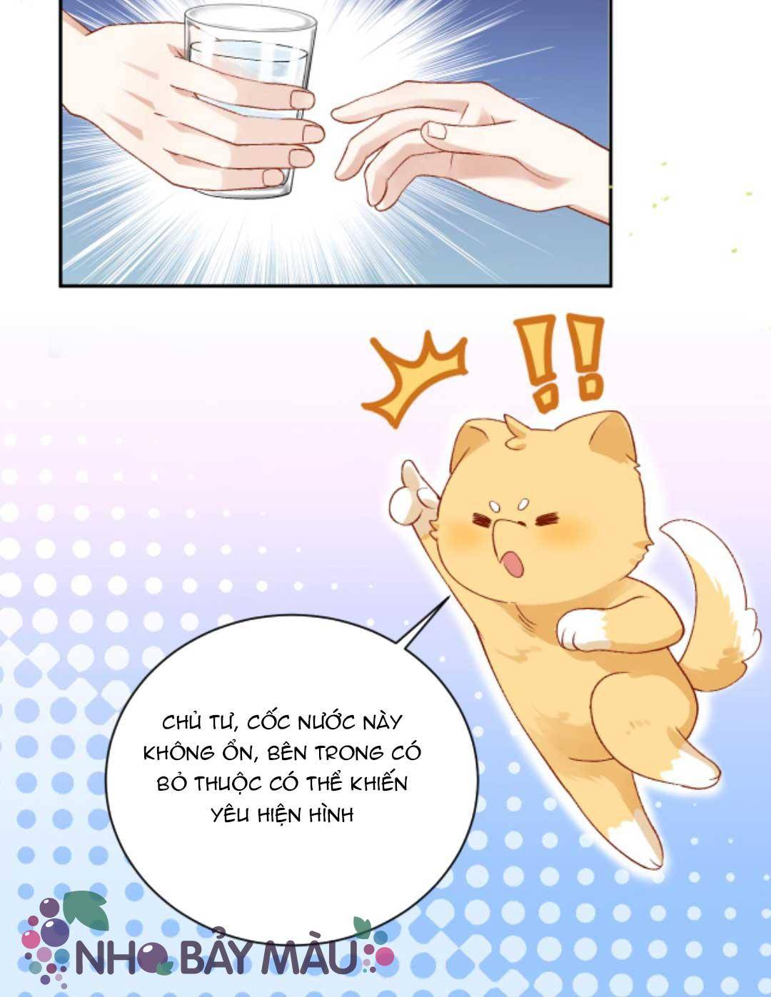 Cáo Nhỏ Hoang Tưởng Và Ký Chủ Lạnh Lùng - Chap 68