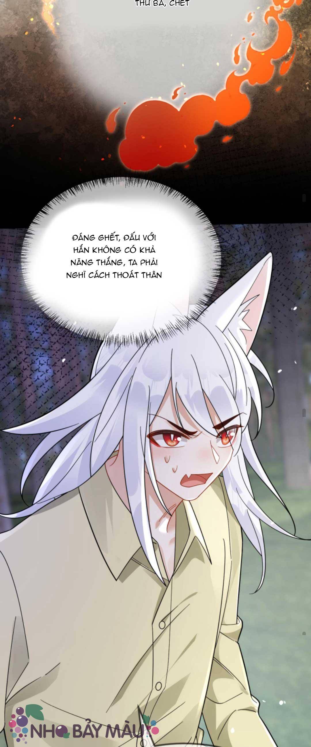 Cáo Nhỏ Hoang Tưởng Và Ký Chủ Lạnh Lùng - Chap 70