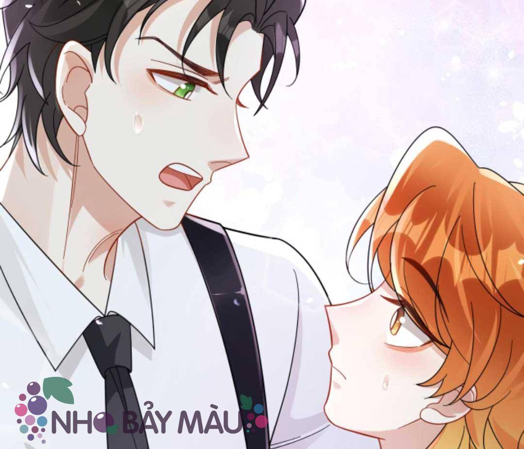 Cáo Nhỏ Hoang Tưởng Và Ký Chủ Lạnh Lùng - Chap 70