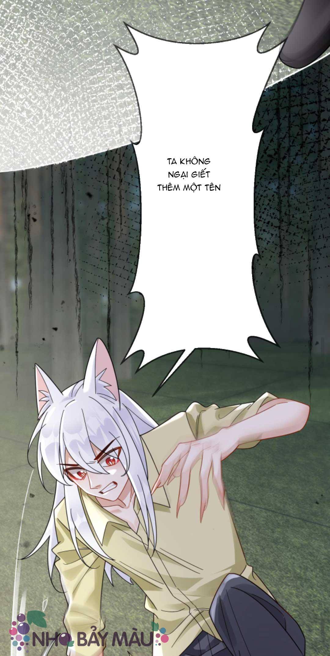 Cáo Nhỏ Hoang Tưởng Và Ký Chủ Lạnh Lùng - Chap 70