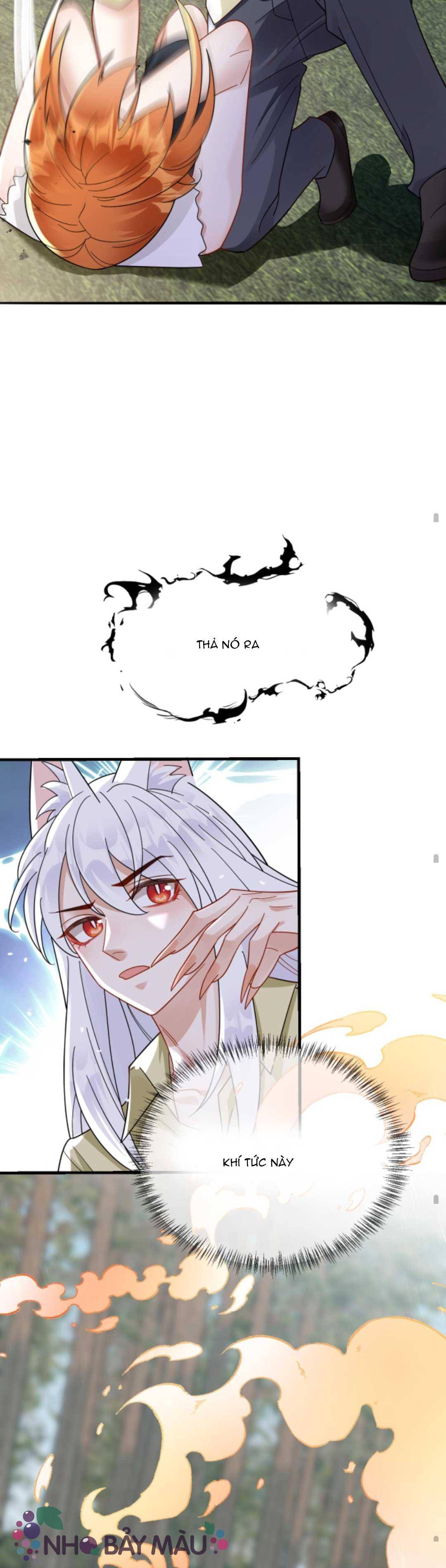 Cáo Nhỏ Hoang Tưởng Và Ký Chủ Lạnh Lùng - Chap 70
