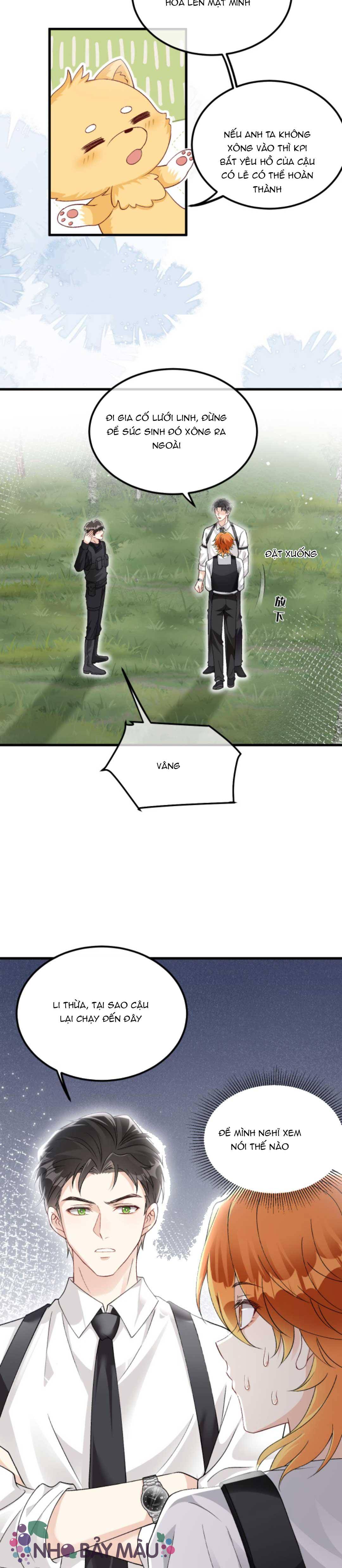 Cáo Nhỏ Hoang Tưởng Và Ký Chủ Lạnh Lùng - Chap 71