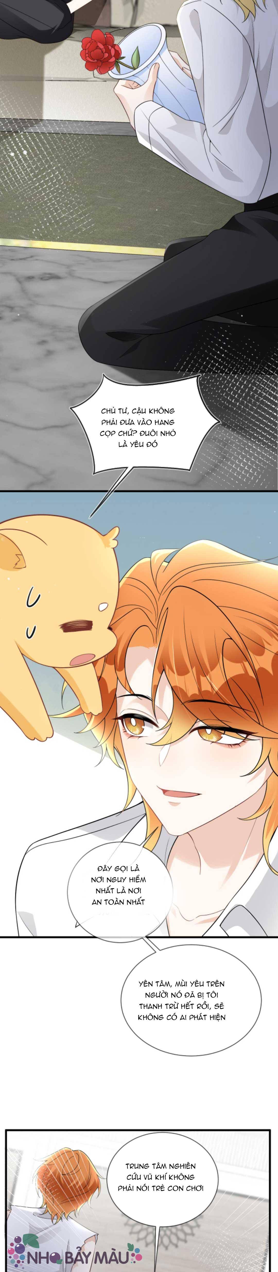 Cáo Nhỏ Hoang Tưởng Và Ký Chủ Lạnh Lùng - Chap 74