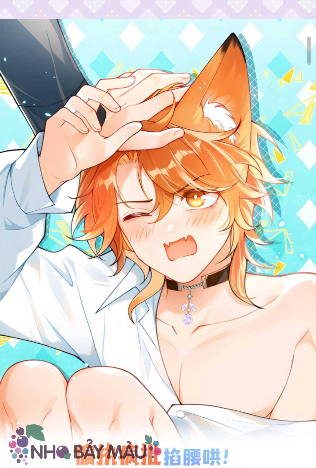 Cáo Nhỏ Hoang Tưởng Và Ký Chủ Lạnh Lùng - Chap 75