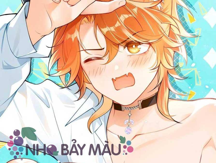 Cáo Nhỏ Hoang Tưởng Và Ký Chủ Lạnh Lùng - Chap 77