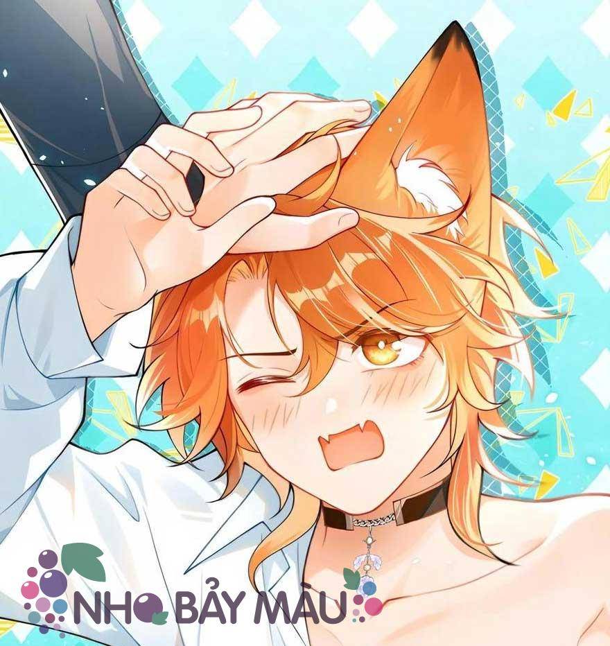 Cáo Nhỏ Hoang Tưởng Và Ký Chủ Lạnh Lùng - Chap 78