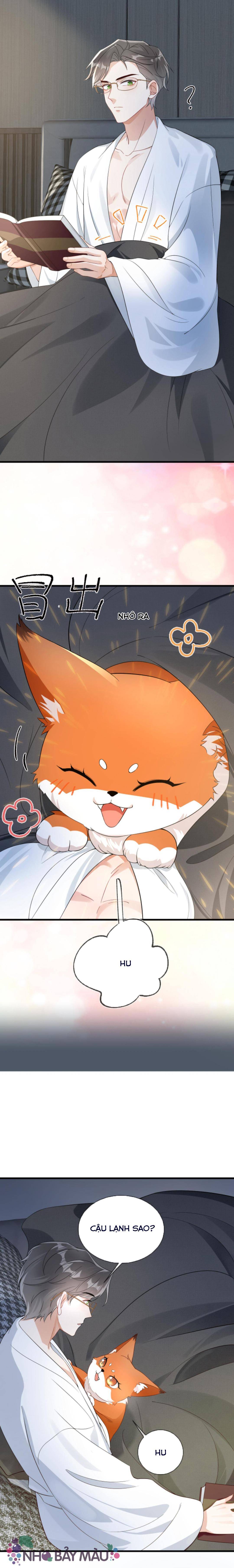 Cáo Nhỏ Hoang Tưởng Và Ký Chủ Lạnh Lùng - Chap 8