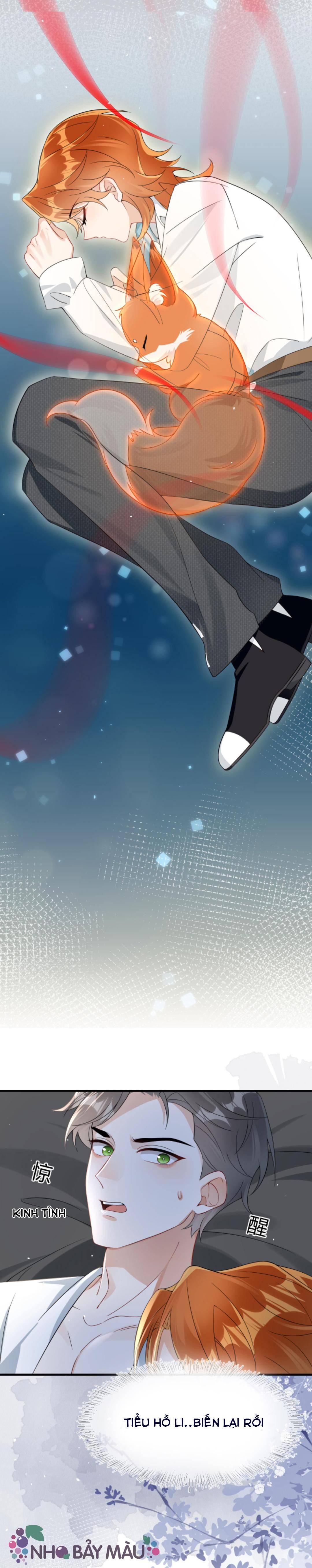 Cáo Nhỏ Hoang Tưởng Và Ký Chủ Lạnh Lùng - Chap 8