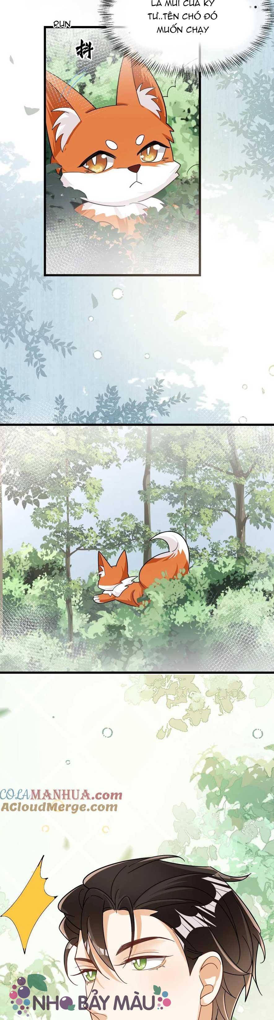 Cáo Nhỏ Hoang Tưởng Và Ký Chủ Lạnh Lùng - Chap 80