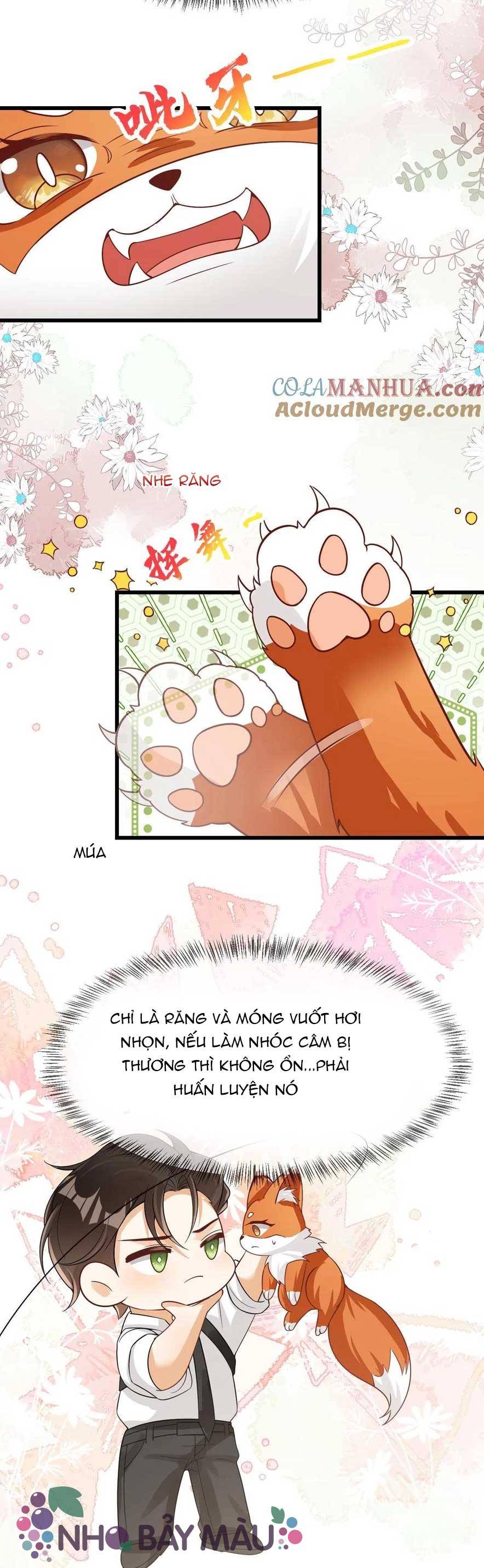 Cáo Nhỏ Hoang Tưởng Và Ký Chủ Lạnh Lùng - Chap 82