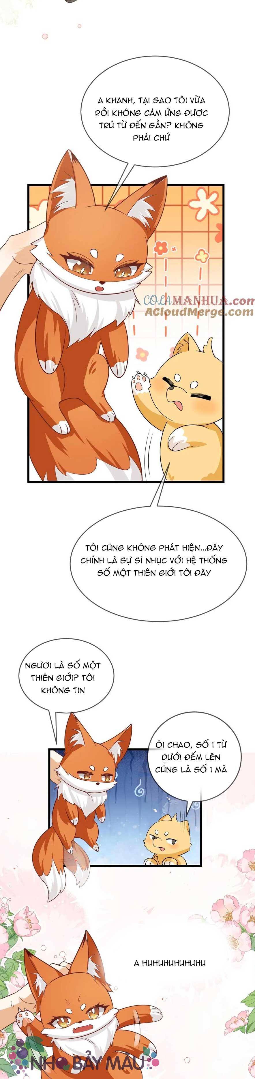 Cáo Nhỏ Hoang Tưởng Và Ký Chủ Lạnh Lùng - Chap 82