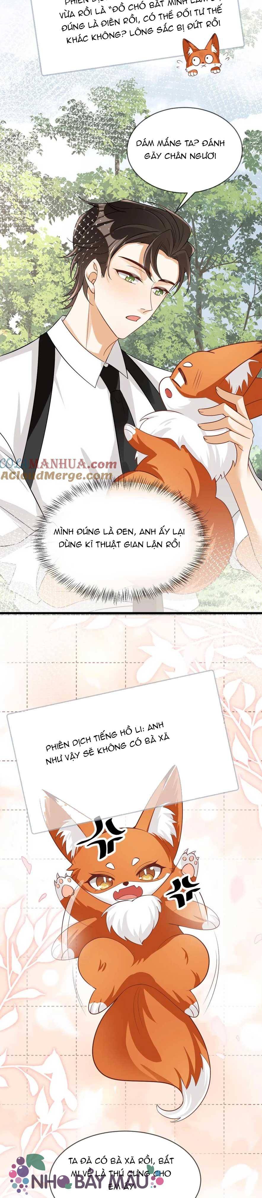 Cáo Nhỏ Hoang Tưởng Và Ký Chủ Lạnh Lùng - Chap 82