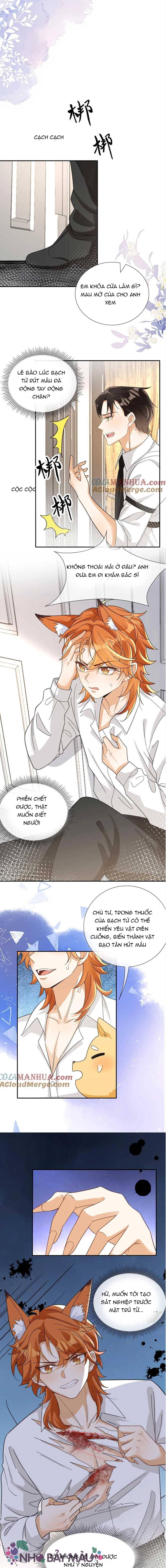 Cáo Nhỏ Hoang Tưởng Và Ký Chủ Lạnh Lùng - Chap 87