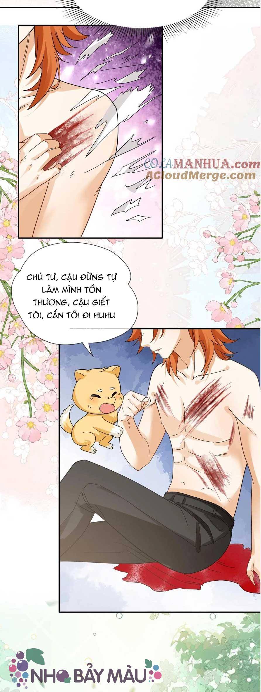 Cáo Nhỏ Hoang Tưởng Và Ký Chủ Lạnh Lùng - Chap 87