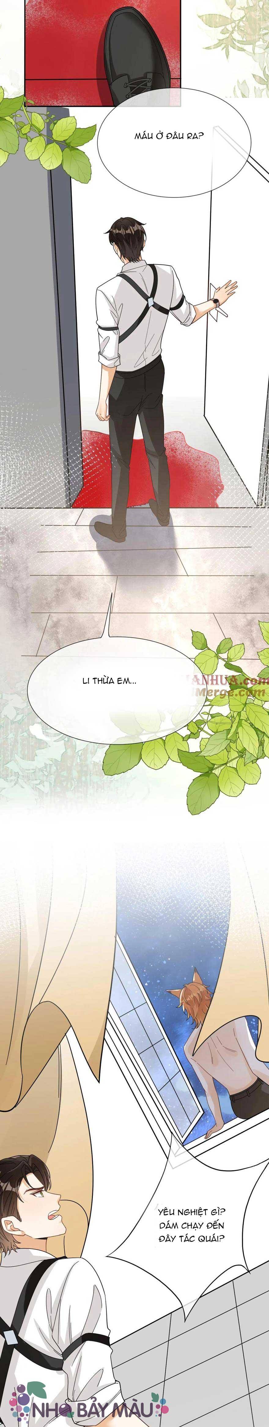 Cáo Nhỏ Hoang Tưởng Và Ký Chủ Lạnh Lùng - Chap 87