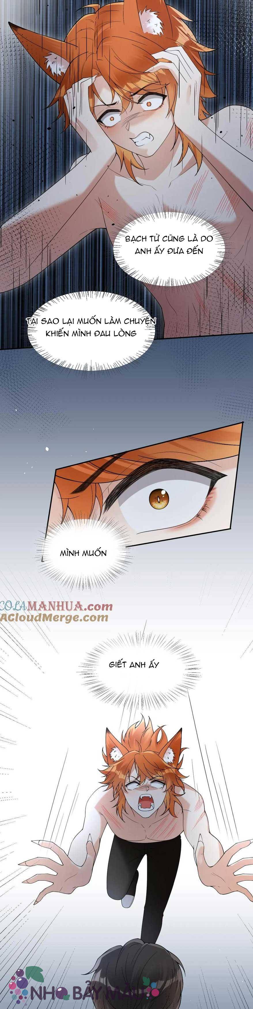 Cáo Nhỏ Hoang Tưởng Và Ký Chủ Lạnh Lùng - Chap 88
