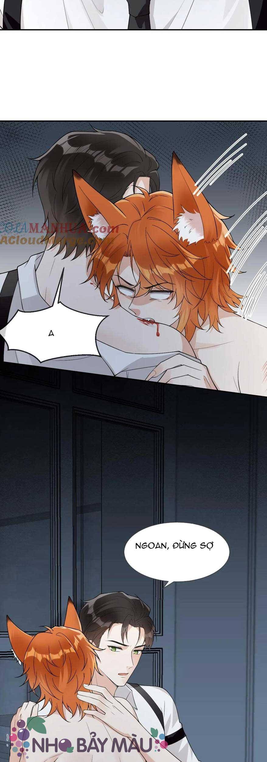 Cáo Nhỏ Hoang Tưởng Và Ký Chủ Lạnh Lùng - Chap 88